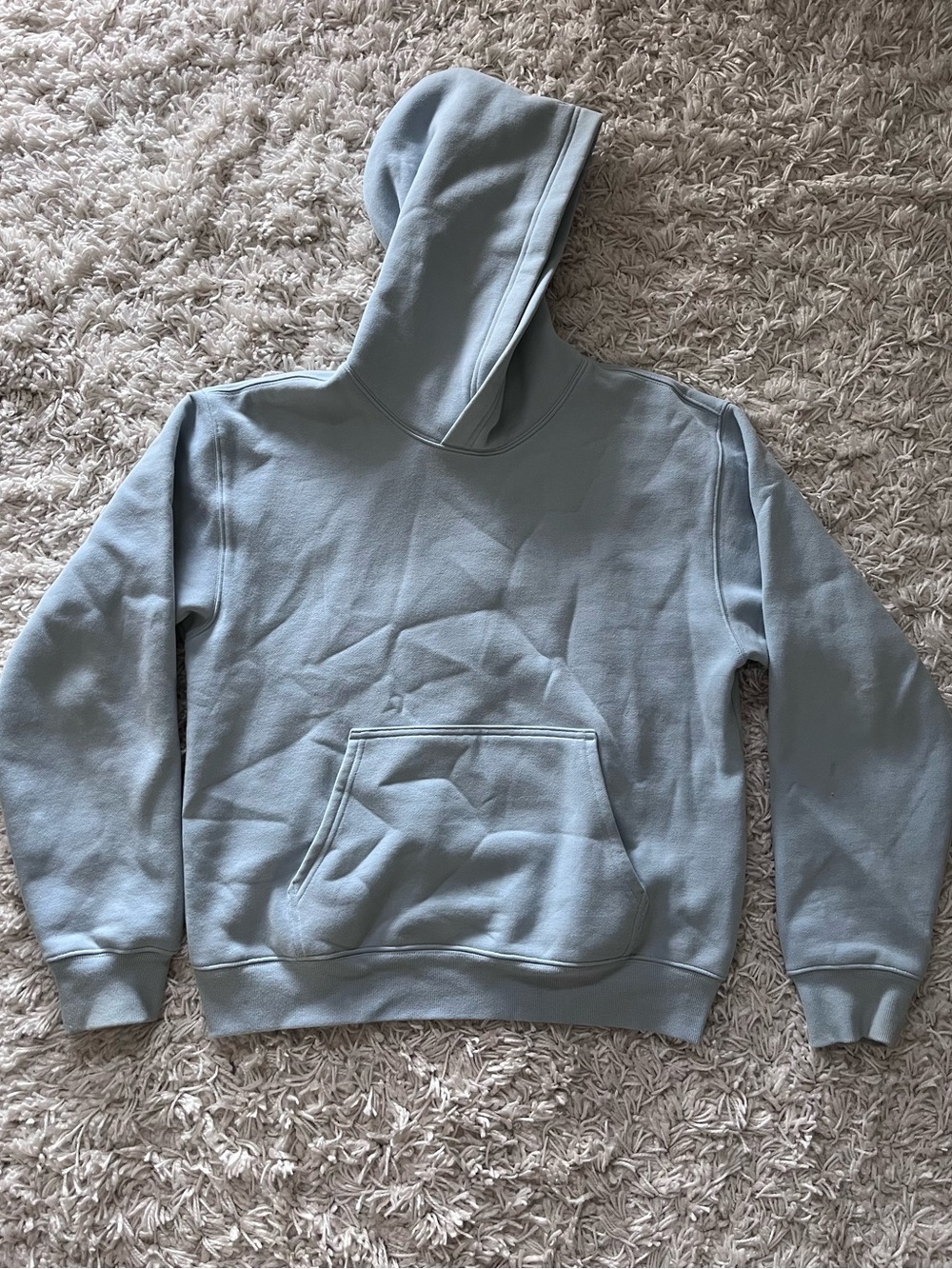 Aritzia women’s Perfect Fit Hoodie - light ice blue (Size Medium)